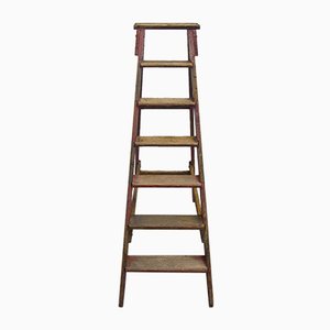 Industrial Wooden Archive Ladder, 1950s