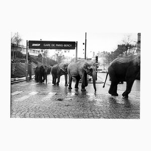 José Nicolas, American Circus at Bercy Station, Paris, 1985, Silver print