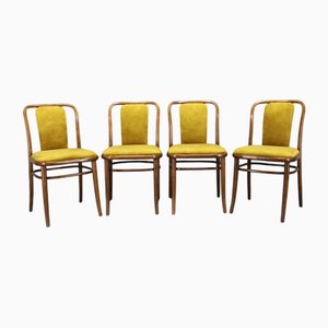 Beech Bentwood Dining Chairs attributed to Ton, Former Czechoslovakia, 1970s, Set of 4
