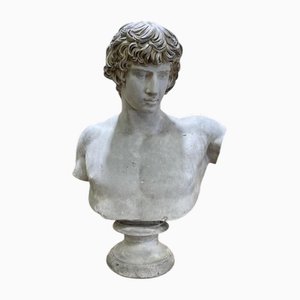 Bust of Antinous Dicouen In Plaster from The Louvre