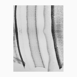 Calle Henzel, Turenne Meguro, 2023, Chromogenic Print on Velour