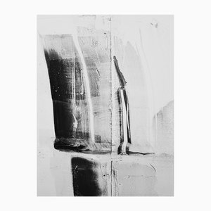 Calle Henzel, Turenne Yamatane, 2023, Chromogenic Print on Velour