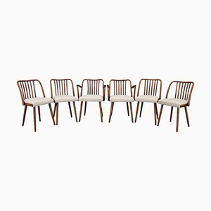 Vintage Beech Dining Chairs by Antonin Suman, 1960s, Set of 6