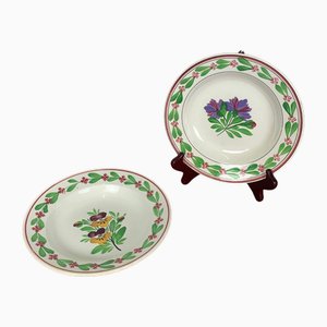 Piatti fondi Sarreguemines antichi, fine XIX secolo, set di 2