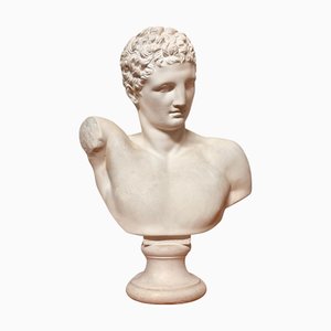 Klassische Herrenbüste von Hermes, 1950er, Gips