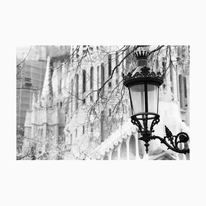 Paul Cooklin, Street Lamp, Photograph, Limited Edition of 10