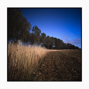 Paul Cooklin, Wickham Skeith, C Type Photograph, Limited Edition of 10
