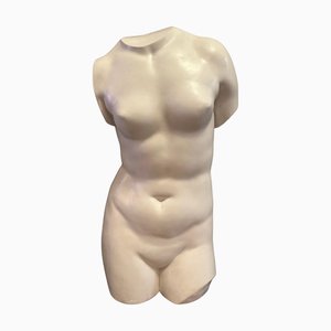 Italian Life Size Plaster Torso of Venus De Milo, 1950