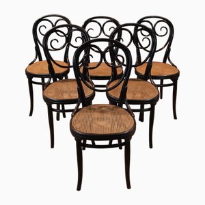 Vintage Chairs by Michael Thonet for Gebrüder Thonet, 1880, Set of 6