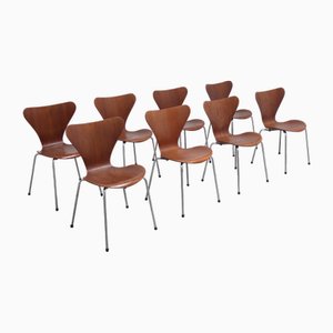 Series 7 Chairs in Teak by Arne Jacobsen for Fritz Hansen, 1968, Set of 8