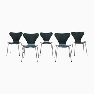 Series 7 Chairs by Arne Jacobsen for Fritz Hansen, 1971, Set of 5