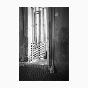Paul Cooklin, Gateway, Silver Gelatin Photograph, Limited Edition of 10