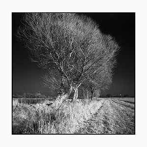 Paul Cooklin, West Thorpe IV, Fotografia di gelatina d'argento, Edizione 2/10