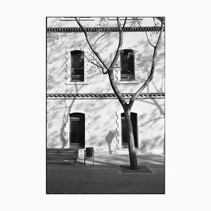 Paul Cooklin, Tree and Windows, 2016, Silver Gelatin Photograph, Limited Edition of 10