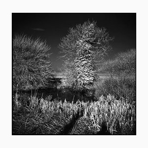 Paul Cooklin, West Thorpe III, Silver Gelatin Photograph, Limited Edition of 10