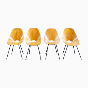 Medea Chair by Vittorio Nobili for Fratelli Tagliabue, 1950s, Set of 4