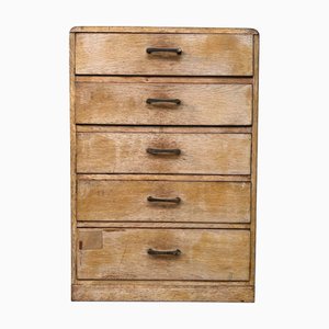 Vintage Schrank von Aitoku Tansu-Ten, Tokyo, Japan, 1930er