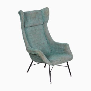 Mid-Century Czech Fiberglass Wingchair attributed to Miroslav Navratil, 1960s