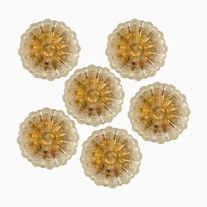 Mehrere Bubble Glas Wandlampen im Stil von Tynell, 1960er