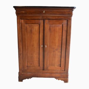 Armoire Antique en Bois d'Arbre Fruitier
