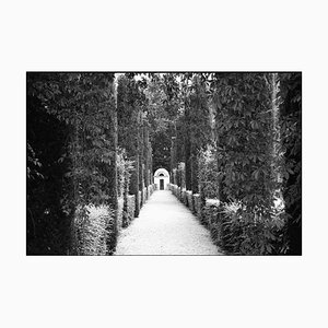 Paul Cooklin, Chateau Champs De Bataille, Silver Gelatin Photograph, Limited Edition of 10