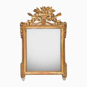 Louis XVI Marriage Mirror with Flower Basket Crest