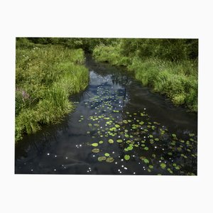 Ellie Davies, Chalk Streams 1, 2023, Photograph