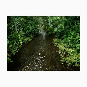 Ellie Davies, Chalk Streams 5, 2023, Photograph