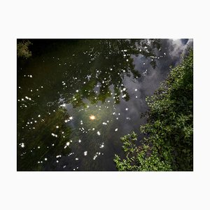 Ellie Davies, Chalk Streams 6, 2023, Photograph