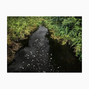 Ellie Davies, Chalk Streams 8, 2023, Photograph