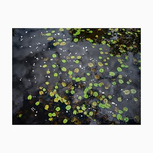 Ellie Davies, Chalk Streams 9, 2023, Photograph