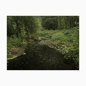 Ellie Davies, Chalk Streams 10, 2023, Photograph