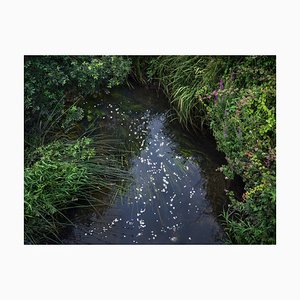 Ellie Davies, Chalk Streams 12, 2023, Photograph