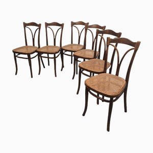 Sillas de comedor modelo 107 con correas de Michael Thonet, principios de 1900. Juego de 6