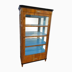 Biedermeier Display Cabinet in Cherrywood, 1820s