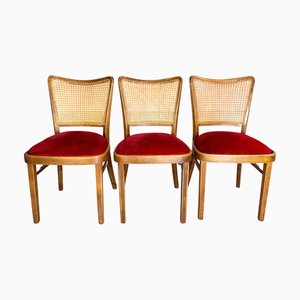 Sedie A811/1 in velluto a coste di Josef Hoffmann per Thonet, 1951, set di 3