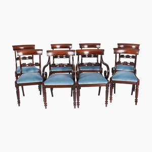 Antike englische William IV Barback Esszimmerstühle, 1830, 8 . Set