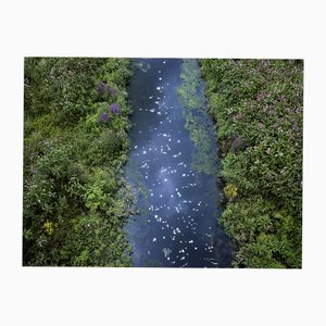 Ellie Davies, Chalk Streams 2, 2023, Print