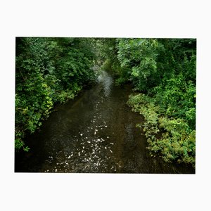 Ellie Davies, Chalk Streams 5, 2023, impresión