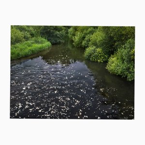 Ellie Davies, Chalk Streams 4, 2023, stampa