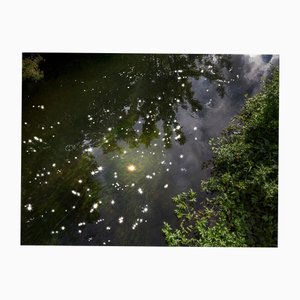 Ellie Davies, Chalk Streams 6, 2023, Impression