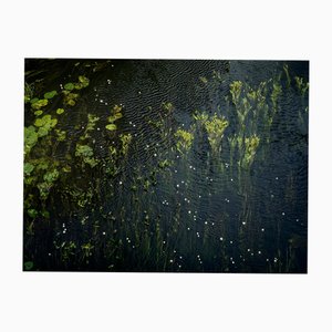 Ellie Davies, Chalk Streams 7, 2023, impresión