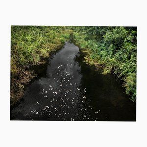 Ellie Davies, Chalk Streams 8, 2023, impresión
