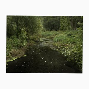 Ellie Davies, Chalk Streams 10, 2023, Impression