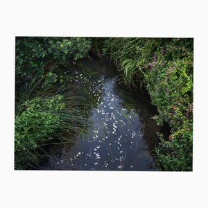Ellie Davies, Chalk Streams 12, 2023, Impresión