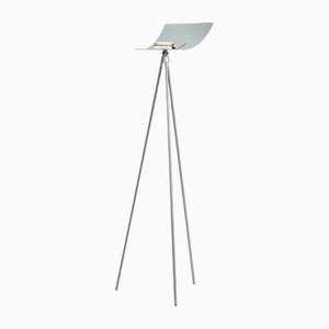 Alata Lampe von Pallucco, 1990er