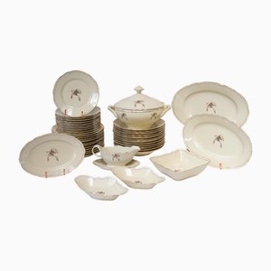 Swedish Dinner Service in Porcelain, Set of 42