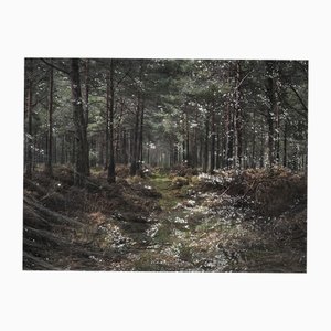 Ellie Davies, Seascapes 1, 2020, Impression