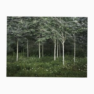 Ellie Davies, Seascapes 2, 2020, Print
