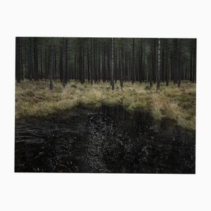 Ellie Davies, Seascapes 3, 2020, Impression
